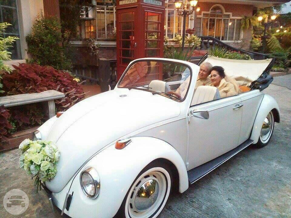 1969 Volkswagen Beetle Top Down (White Vintage)
Sedan /
Makati, Metro Manila

 / Hourly ₱0.00
