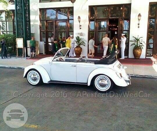1969 Volkswagen Beetle Top Down (White Vintage)
Sedan /
Makati, Metro Manila

 / Hourly ₱0.00
