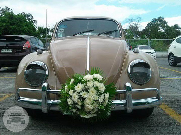 1962 Volkswagen Beetle
Sedan /
Cavite City, Cavite

 / Hourly ₱0.00
