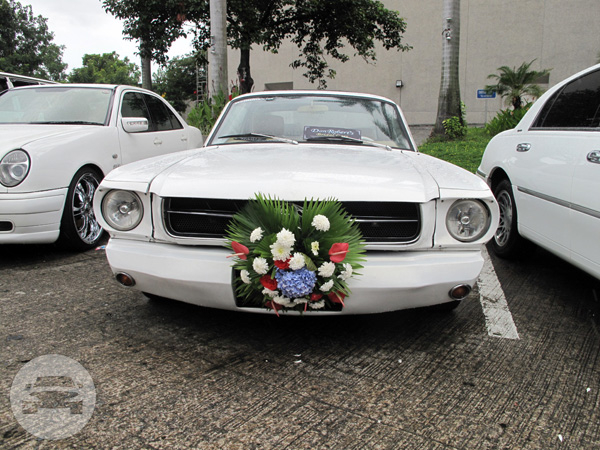 1965 Mustang
Sedan /
Cavite City, Cavite

 / Hourly ₱0.00
